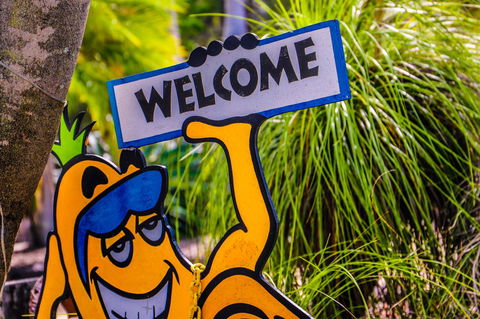 Cool Bananas Backpackers - Rental Cars 37