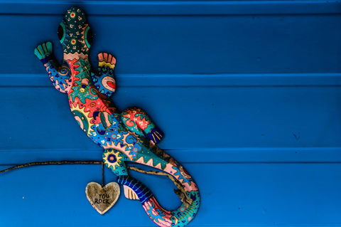 Cool Bananas Backpackers - Rental Cars 21