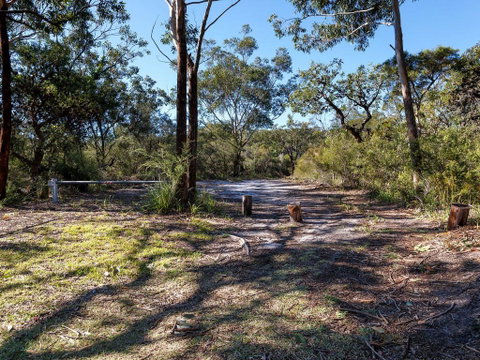 Wongaburra - Rental Cars 2