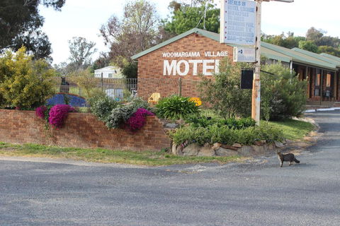 Woomargama Motel - Rental Cars 3