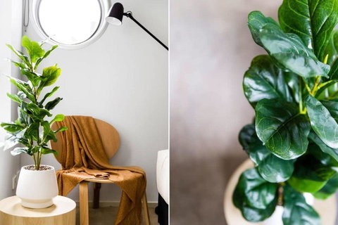 A Stylish 2BR Apt Next To Vic Market FREE Parking - Rental Cars 4