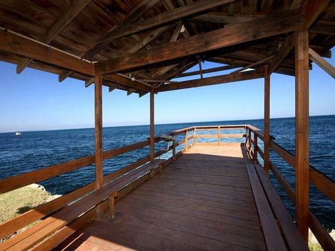 AMITY SHAWS - Rental Cars 1