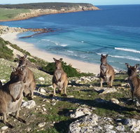 Waves  Wildlife Cottages Kangaroo Island - Rental Cars