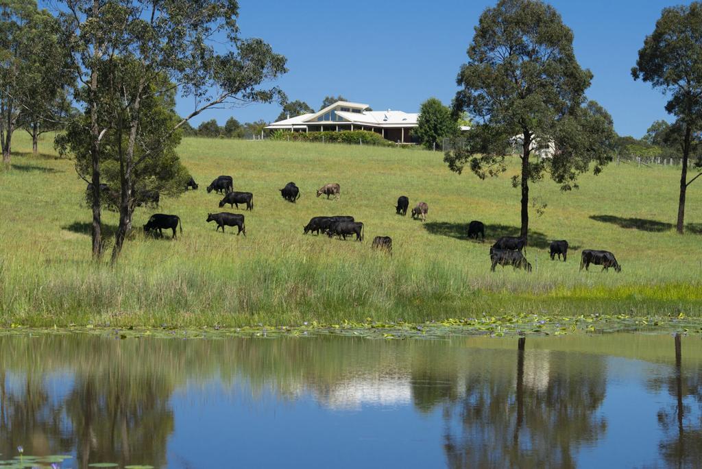 Crawford River NSW Rental Cars