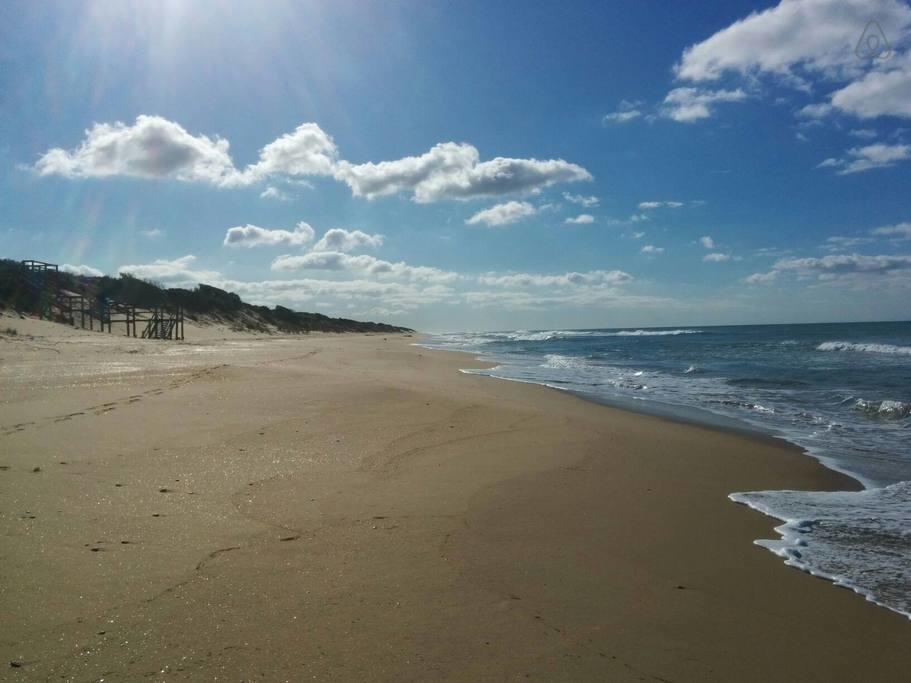 Flamingo Beach VIC Rental Cars