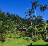 A Daintree Garden - Rental Cars