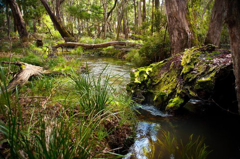 Ablac Studio - Rental Cars 1