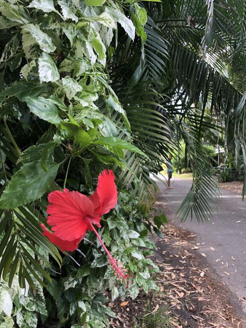 Absolute Beach Frontage, Family Friendly, Home Away From Home - Rental Cars 1