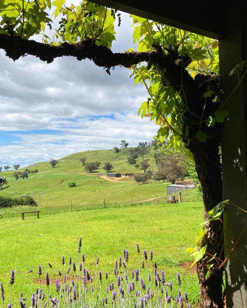 Elevation652 At Mt Bellevue In King Valley - Rental Cars 2