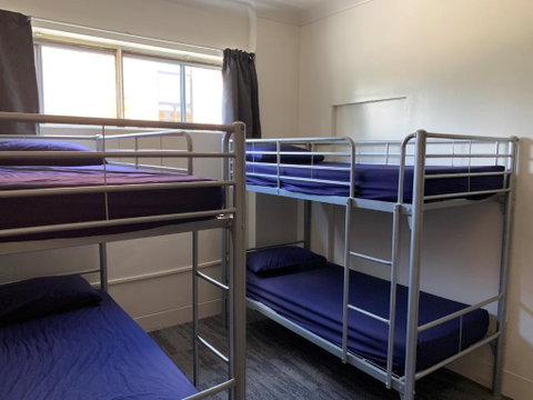 Habitat Backpackers - Rental Cars 2