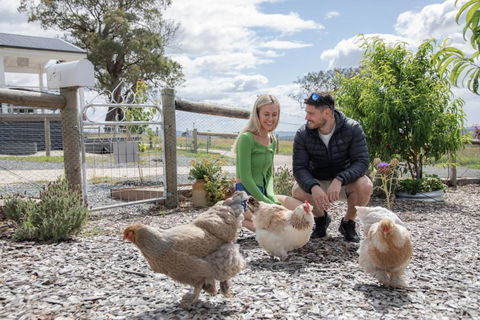 Gumnut Cottage Gippsland - Tiny Romantic Escape W King Bed Mountain Views - Rental Cars 3
