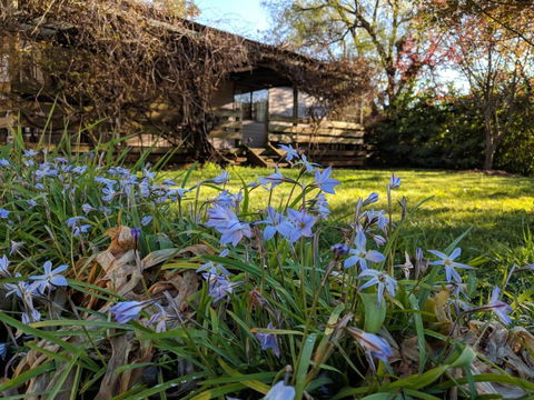 Alexander Cottage - Rental Cars 3