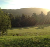 Arjuna Ridge Bed and Breakfast - Rental Cars