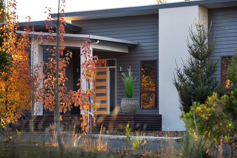 Arya - Rental Cars 1