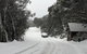 MAGNIFICENT SKIING ON MOUNT BULLER - thumb 3