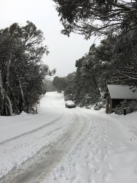 MAGNIFICENT SKIING ON MOUNT BULLER - Rental Cars 3