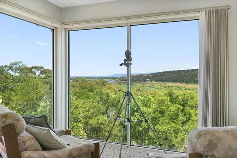 Panoramic Views - Rental Cars 2