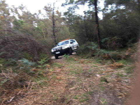 PNL4WDriving Bairnsdale Hub - Rental Cars 0