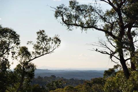 Barwidgee - Rental Cars 2