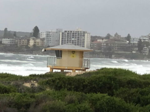 Beachfront Living Cronulla - Rental Cars 3