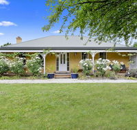 Blue Wren - Rental Cars