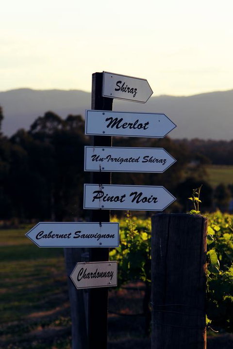 Blueberry Hill Vineyard Villa - Rental Cars 3