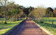 Blueberry Hill Vineyard Villa - thumb 0