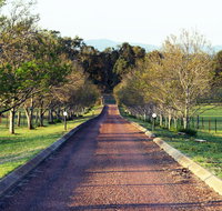 Blueberry Hill Vineyard Villa - Rental Cars