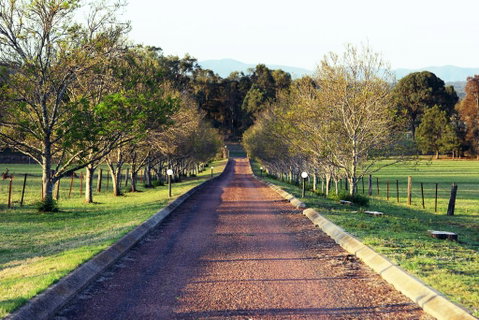 Blueberry Hill Vineyard Villa - Rental Cars 0