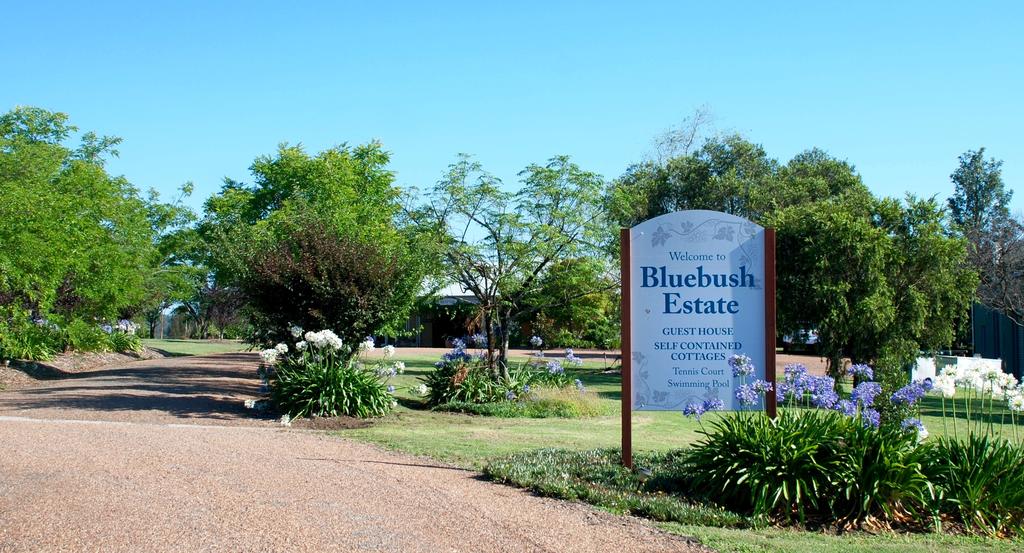 Abernethy NSW Rental Cars
