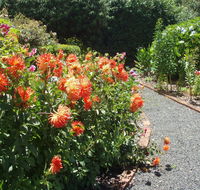 Boat Harbour Garden Cottages - Rental Cars