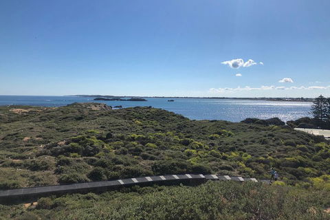Penguin Island And Fremantle - Canoe, Chocolate & Coffee - Rental Cars 0