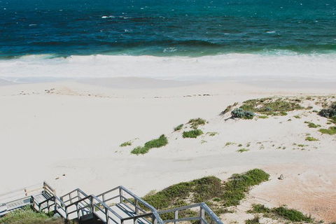 Yanchep & Lancelin - Wildlife, Cave And Sands - Rental Cars 5