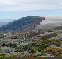 kunanyi/Mt Wellington Explorer Bus - One Way Tour - Rental Cars
