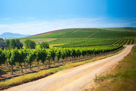 Full Day Tamar Valley Wine Tour - Rental Cars 1