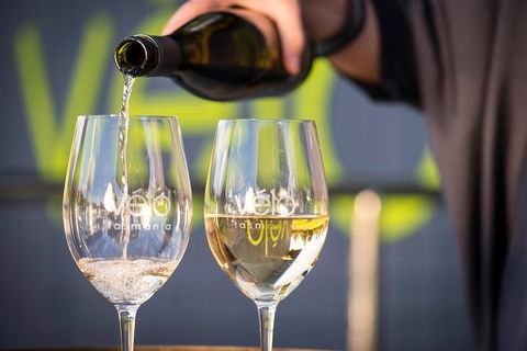 Full Day Tamar Valley Wine Tour - Rental Cars 2