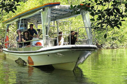 5-Day Best Of Cairns With Daintree, Kuranda, And Great Barrier Reef - Rental Cars 1