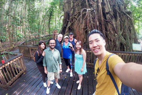 Cairns 4WD Waterfall And Rainforest Tour Including Kuranda Scenic Railway - Rental Cars 0