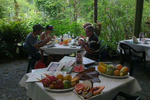 Cairns Reef And Rainforest Combo: Daintree Rainforest And The Great Barrier Reef - Rental Cars 3