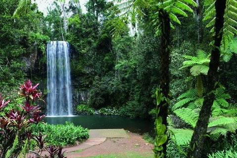 Paronella Park And Millaa Millaa Falls Full-day Tour From Cairns - Rental Cars 3