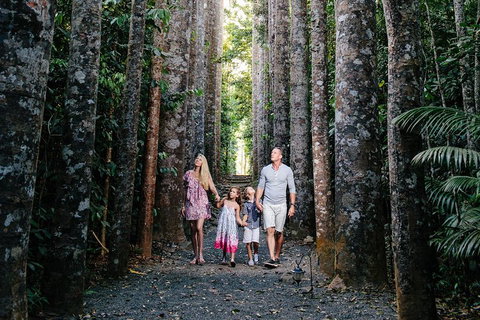 Paronella Park And Millaa Millaa Falls Full-day Tour From Cairns - Rental Cars 5