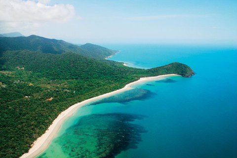 Cape Tribulation, Mossman Gorge, And Daintree Rainforest Premium Day Tour - Rental Cars 2
