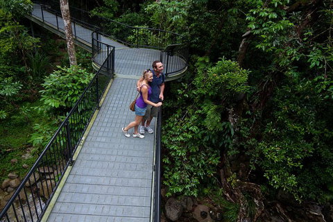 Cape Tribulation, Mossman Gorge, And Daintree Rainforest Premium Day Tour - Rental Cars 3