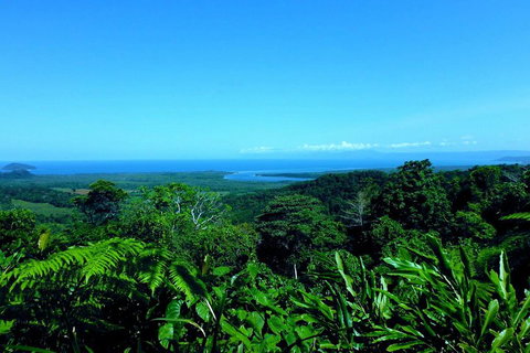 Cape Tribulation, Mossman Gorge, And Daintree Rainforest Premium Day Tour - Rental Cars 5