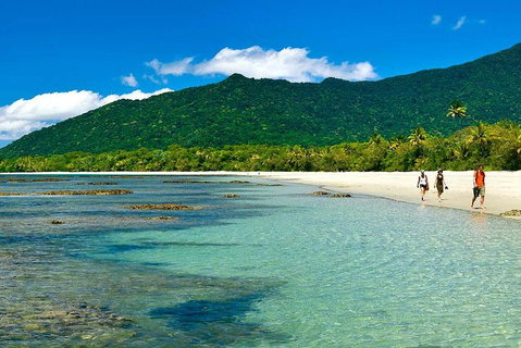 Private Daintree National Park Day Tour From Cairns Including Cape Tribulation And Mossman Gorge - Rental Cars 0