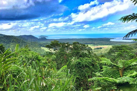 Private Daintree National Park Day Tour From Cairns Including Cape Tribulation And Mossman Gorge - Rental Cars 2