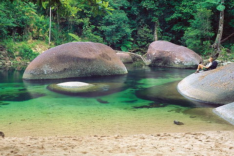 Private Daintree National Park Day Tour From Cairns Including Cape Tribulation And Mossman Gorge - Rental Cars 4