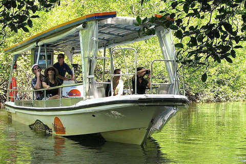 Private Daintree National Park Day Tour From Cairns Including Cape Tribulation And Mossman Gorge - Rental Cars 5