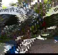 Kuranda Day Trip from Port Douglas upgrade to Skyrail  Scenic train available - Rental Cars
