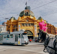 Melbourne. Laneways and Alleyways - Rental Cars